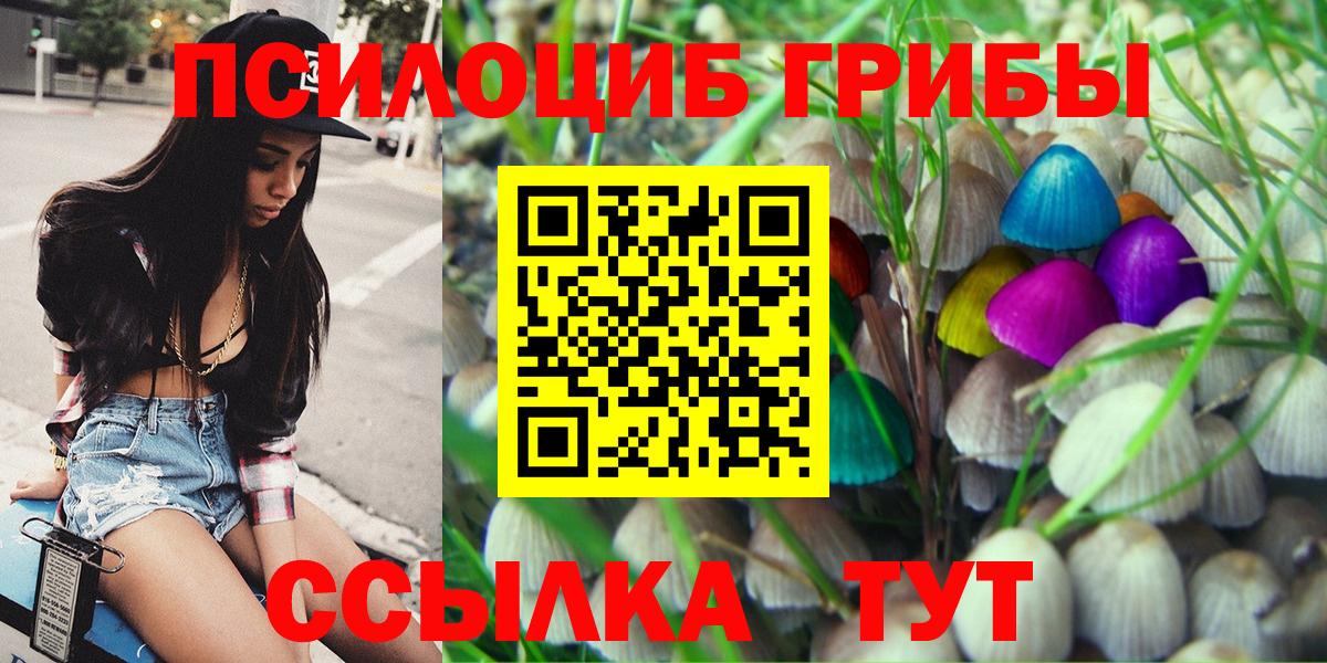 продажа наркотиков  Псилоцибиновые грибы прущие грибы  Вход с VPN  Дубна  Галлюциногенные грибы MAGIC MUSHROOMS 