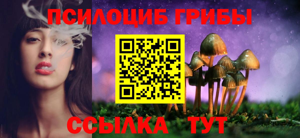 Псилоцибиновые грибы Psilocybine cubensis Дубна